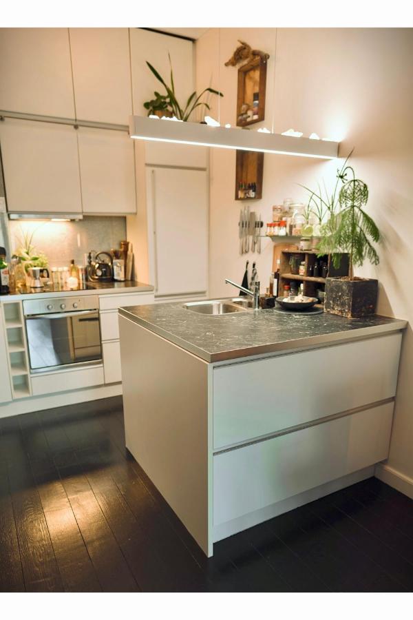Lovely, 1898 Jugendstil Design Apartment, Old Haarlem City Centre, Fully Renovated With Parkview Near Amsterdam And Zandvoort, Bloemendaal Beach Екстериор снимка