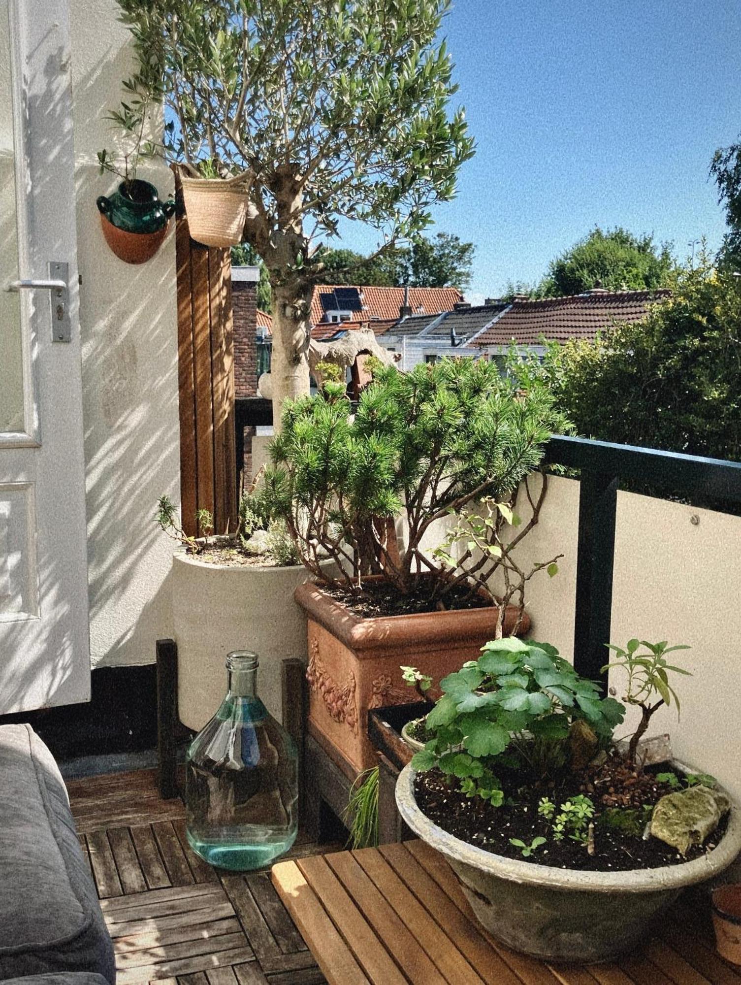 Lovely, 1898 Jugendstil Design Apartment, Old Haarlem City Centre, Fully Renovated With Parkview Near Amsterdam And Zandvoort, Bloemendaal Beach Екстериор снимка